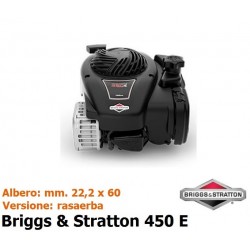 Motore Briggs & Stratton 450E