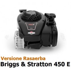 Motore Briggs & Stratton 450 E