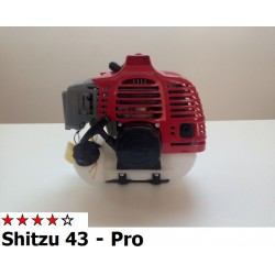 Motore Shitzu 43 - Pro