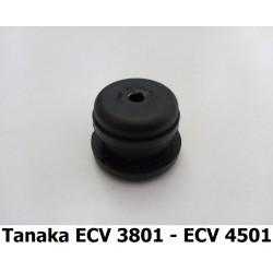 GNF-6688261
