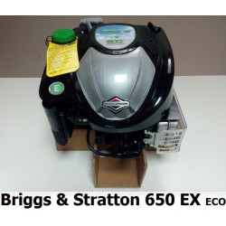 Motore Briggs & Stratton...
