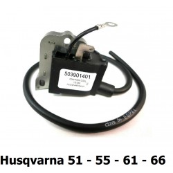 GNF-503901401