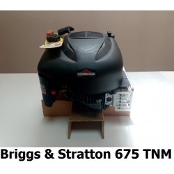 Motore Briggs & Stratton...