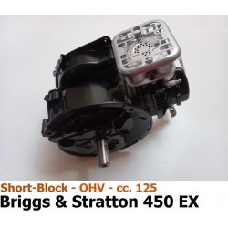 Short-Block motore Briggs &...
