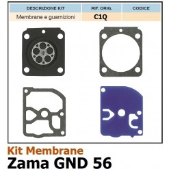 GNF-ZAMA-C1Q-GND56