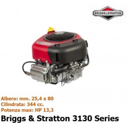 Motore Briggs & Stratton...