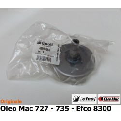 GNF-4196048R